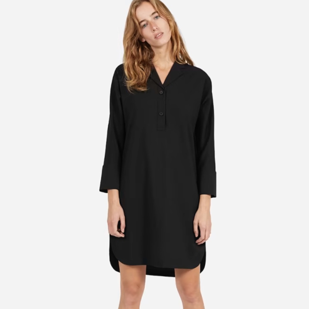 Everlane The Artist Smock Shirt Dress Black 8